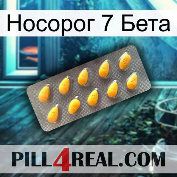 Носорог 7 Бета cialis1.jpg